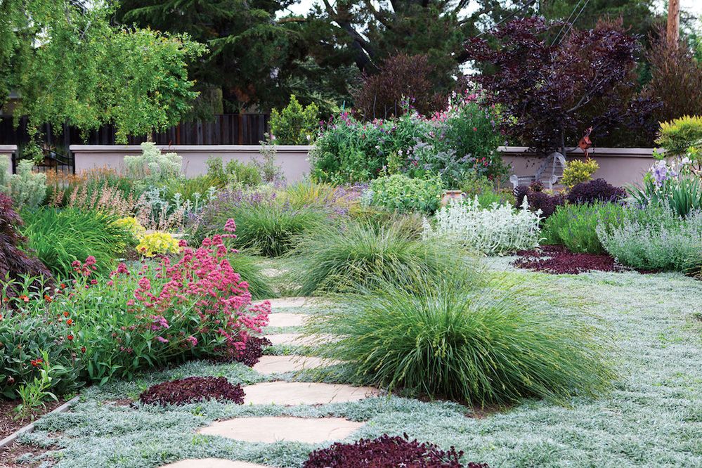 Inspiration pic for groundcover paths.
